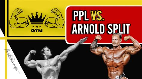 ppl/arnold split|Arnold Split 6